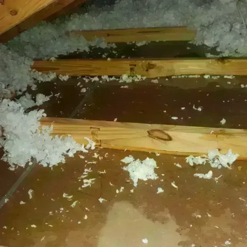 Attic Water Damage in Port Neches, TX